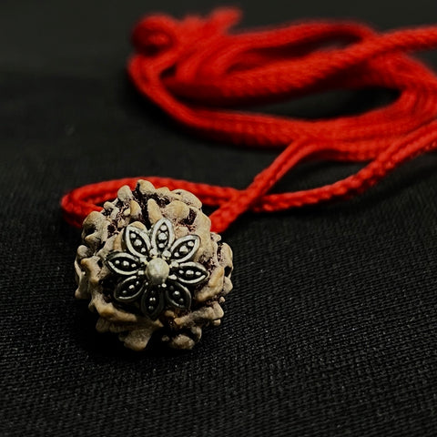 3 Mukhi Indian Rudraksha - Teen Mukhi